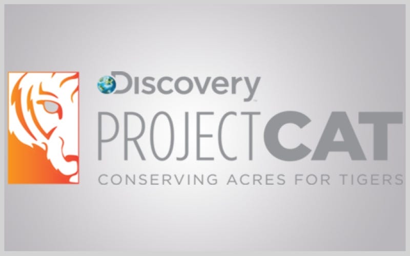 Orbus Kicks off Project Cat Fundraisers